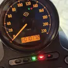 هارلي سبوستر 883   2015