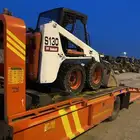 بوبكات بوبكاتات حواس شيول جراف صغير