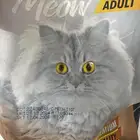 بسة تبني