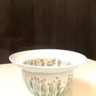 (تم البيع) وعاء (صحن طبق) خزف سيراميك (تحفة فنية)