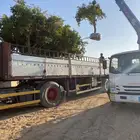 تريلة جوانب سطحه لنقل أشجار