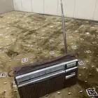راديو