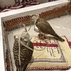 باشق