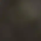 ربع فتك نيسان
