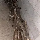 حطب مستورد طحل