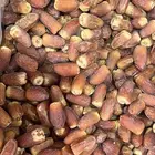 صقعي اليوم وصل حياكم الله