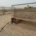 شبوك