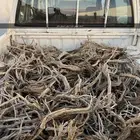 السلام عليكم  فيت حطب للبيع حطب رمث و طيب