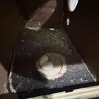 عصافير واحد أليف الثاني يعني