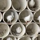 للبيع حمام فرنسي