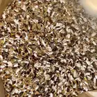 حب اكل كروان روز دره فيشر