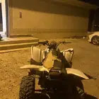 دباب البيع