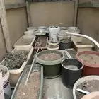 مراكن زراعيه مستخدمه