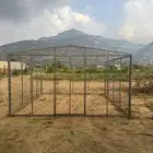 شبك غنم