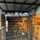 حمام زاجل ايس