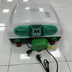 فقاسات ايطاليه. رفيرا