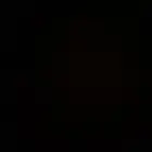 ابي قط او قطوه تبني يكون شيرازي او كيتن