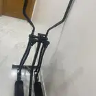 الغزال الطائر