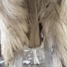 ضان مقاني