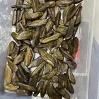عود وبخور