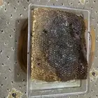 للبيع عسل بالشمع اصلي