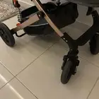 عربية مواليد