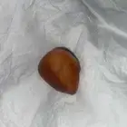 حجر نادر للبيع