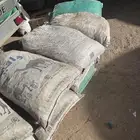 تمر أعلاف للمواشي