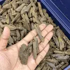 عرض جملة الجملة