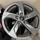 جنوط كي فايف من 21 الى 26