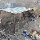 شبك دجاج او حمام