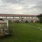 مربط و اسطبل ل ايواء الخيل Horse Stable - شمال جدة (ذهبان)