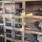 خانه طيور حمام مستعمل تقريبا سنتين