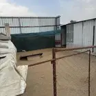 شبوك وحضائر غنم للايجار