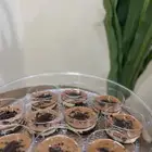 حلويات متنوعه