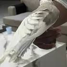طير كروان