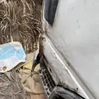 دينا2004 متسوبيشي
