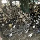 عشة حمام للبيع مشكل هندي فرنسي و عادي