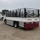 دينا سراة عبيدة