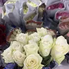 ورد طبيعي جمله وتوزيعات مناسبات