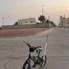 سيكل مقاس 20
