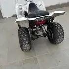 Z250دباب