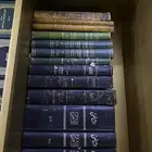 الرياض