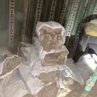 حطب عنب شرط شرط يابس وطيب وحطب كفو