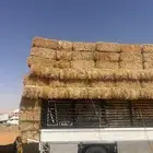 تبن بر