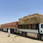 دنا الدوادمي دينه البجاديه القرنه نفي عفيف