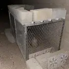 شبوك مع فقاسات للبيع