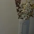 فازه ماركه