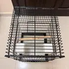 قفص بغبغاء كاسكو