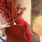 آلة موسيقية